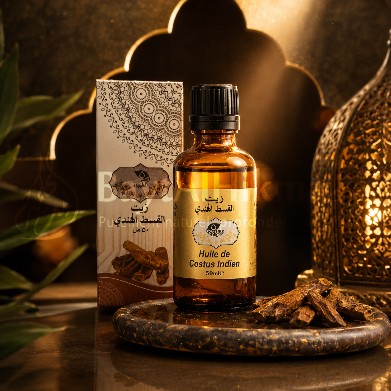 Huile de Costus Indien – 50 ml Pureté naturelle & bien-être ancestral-زيت القسط الهندي نقاء طبيعي وفوائد تقليدية
