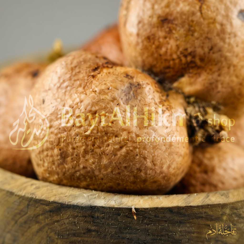 Pomme d'Adam de Médine Premium – Fruit Traditionnel | Fertilité & Articulations - ثمرة تفاحة آدم المدينية الممتازة – طبيعية 100% | للخصوبة، الحيوية وصحة المفاصل
