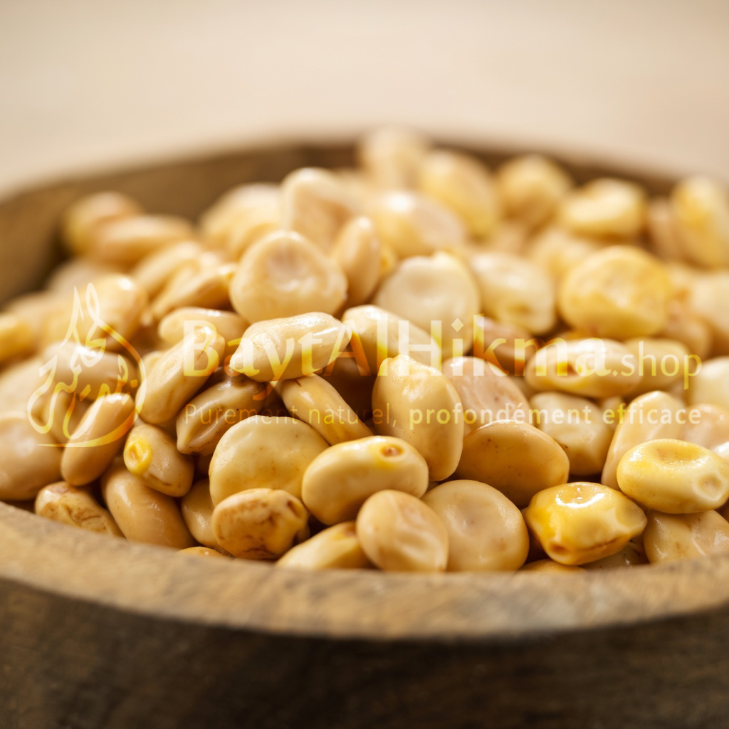 Graines de Lupin Premium (Termes) - Doux ou Amer  - حبوب الترمس الفاخرة (حلو أو مر) - جودة عالية