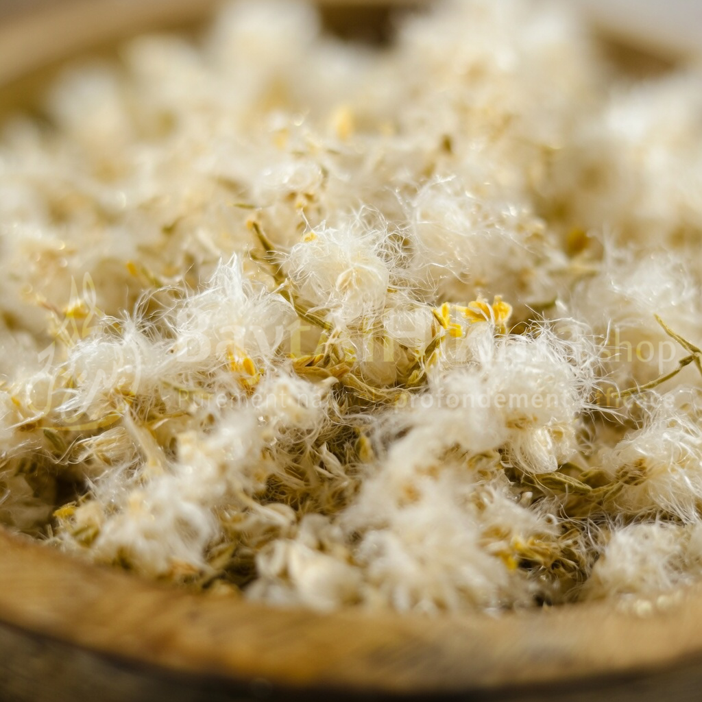 Herbe "Bissat El Molouk" (Paronyque Argentée) - 100% Naturelle & Sauvage - عشبة "بساط الملوك" الطبيعية والبرية