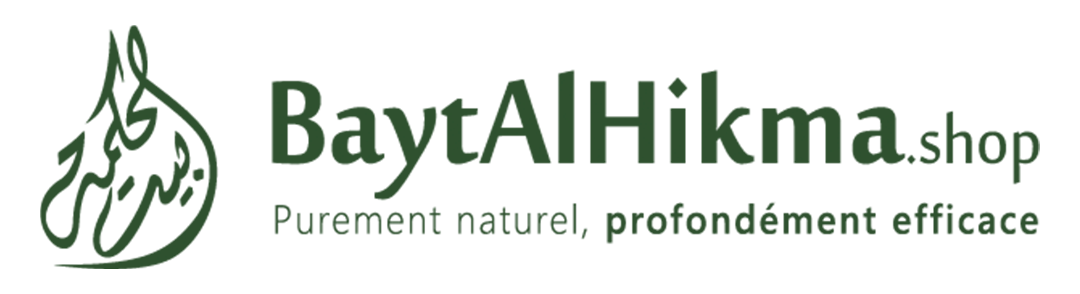 Bayt Al Hikma